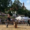 Dřevorubky 2024