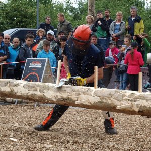 Dřevorubky 2016